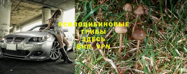 сатива Нягань