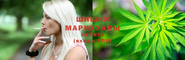 сатива Нягань