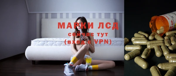 PSILOCYBIN Няндома