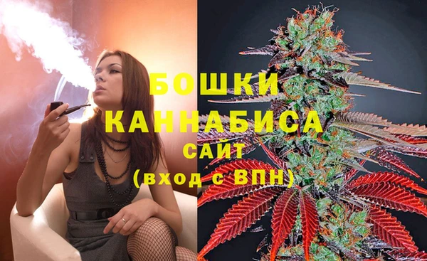 сатива Нягань